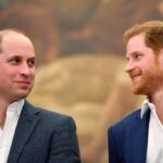 Assume the Magnus government